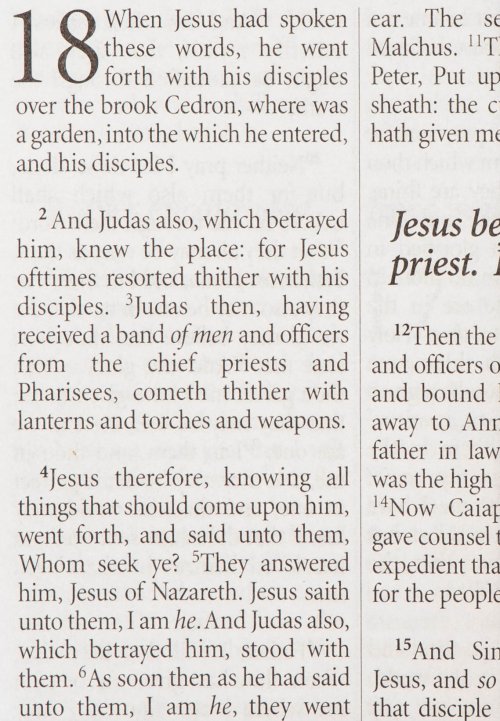King James The Gospel according to John, Blue, Pictorial Paperback