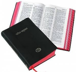 Nepali Bible (vinyl cover)