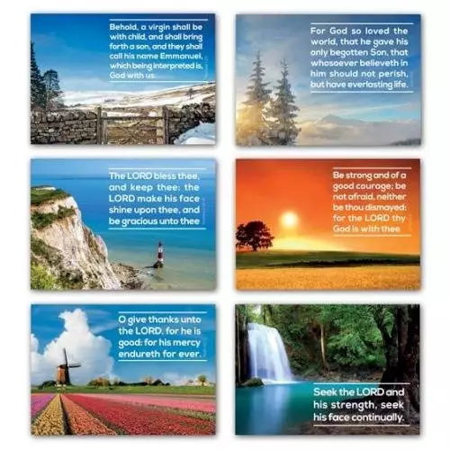 Greetings Cards - P series (mixed pack of 6)