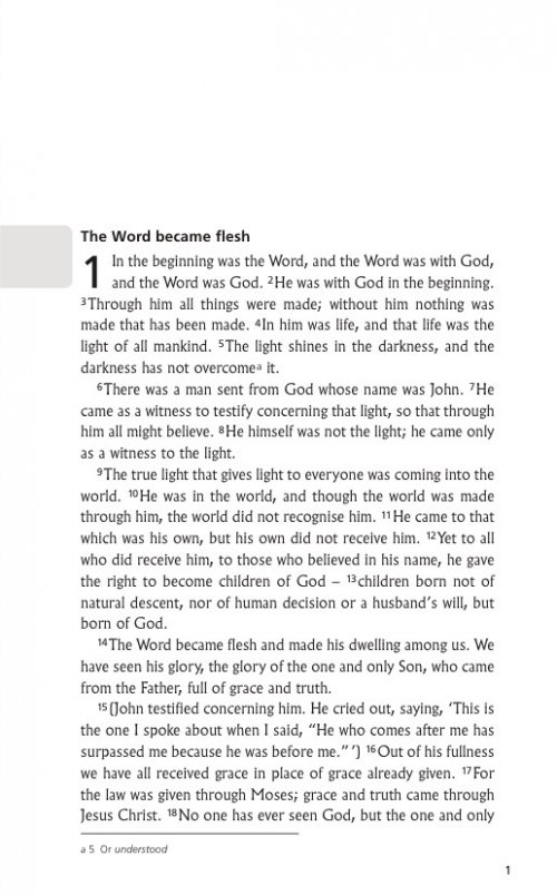 NIV Gospel of John Giveaway, Bible, Grey, Paperback, Compact, Clear Print, Outreach, Mission