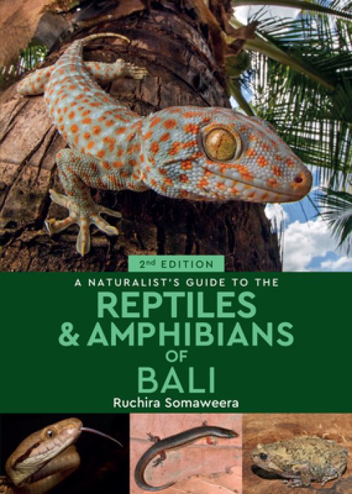 NG REPTILES & AMPHIBIANS OF BALI (2