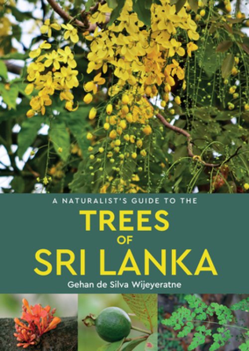 NG TREES OF SRI LANKA