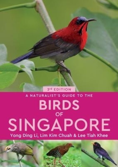 NAT GD TO THE BIRDS OF SINGAPORE