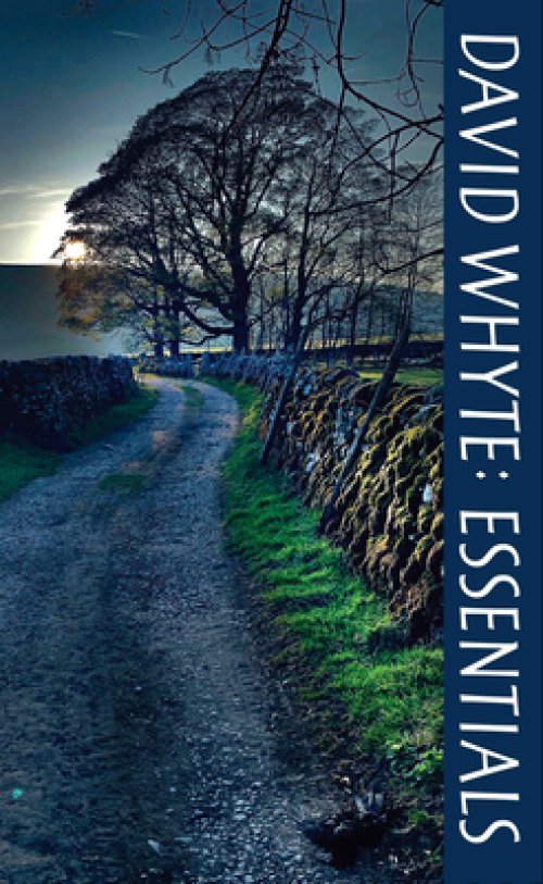 David Whyte Essentials