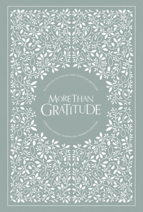 More Than Gratitude