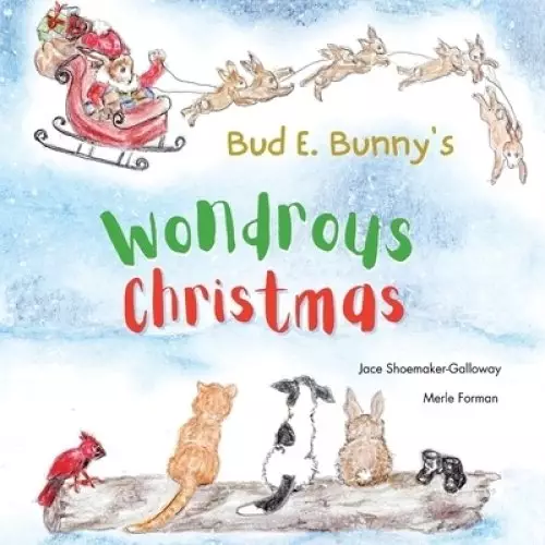 Bud E. Bunny's Wondrous Christmas