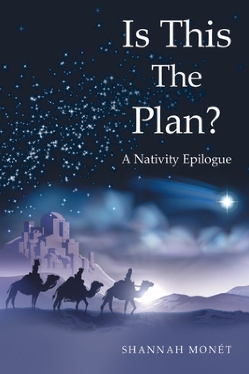 Is This the Plan?: A Nativity Epilogue