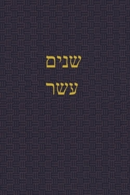 Book Of The Twelve