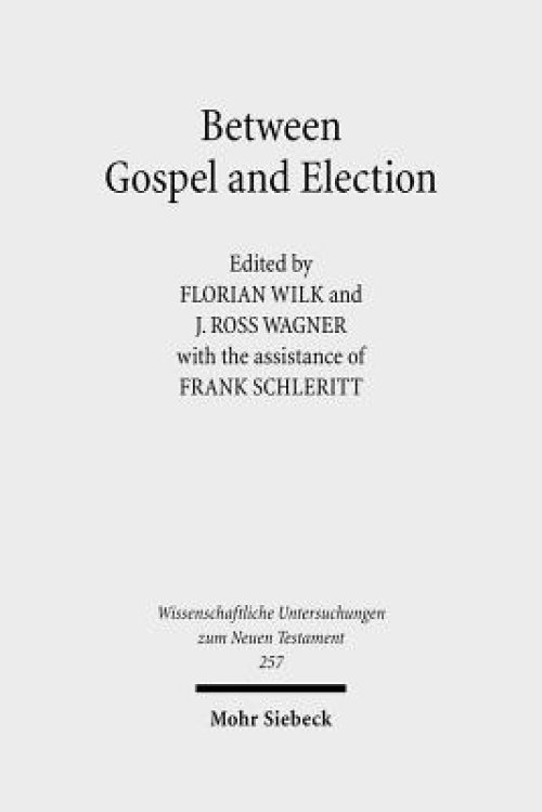 Between Gospel and Election: Explorations in the Interpretation of Romans 9-11