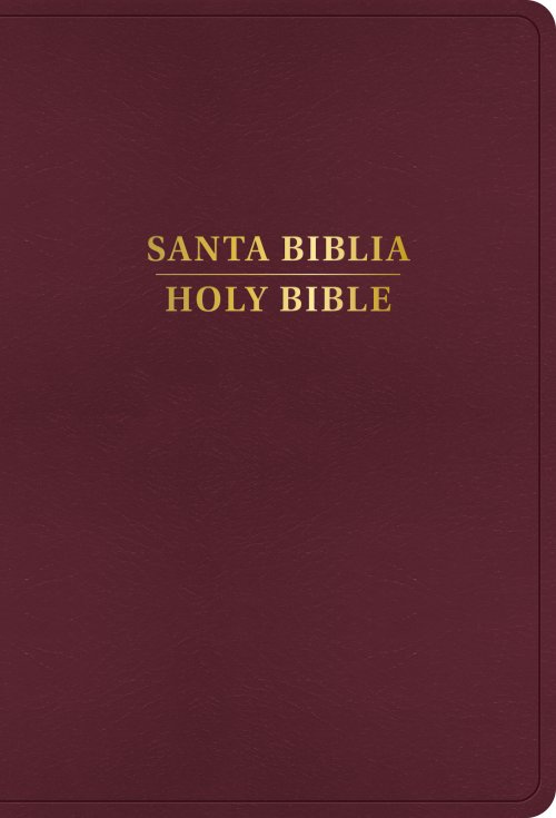 RVR 1960/KJV Biblia bilingüe letra grande, borgoña imitación piel (2024 ed.)