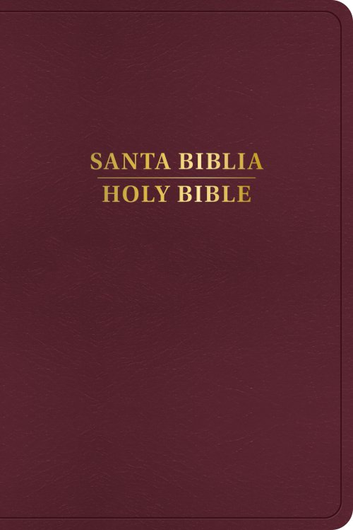 RVR 1960/KJV Biblia bilingüe, borgoña imitación piel (2024 ed.)