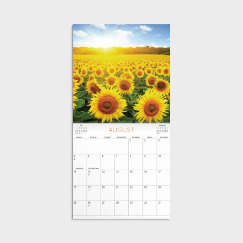Four Seasons 2024 Mini Wall Calendar