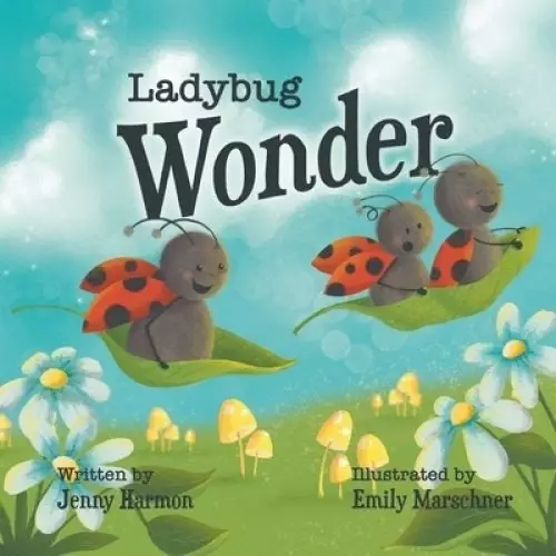 Ladybug Wonder