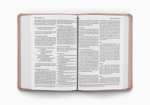 ESV Value Large Print Compact Bible (TruTone, Blush Rose, Fleur-de-lis Design)