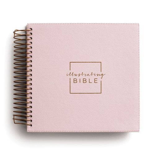Illustrating Bible - NIV - Pink