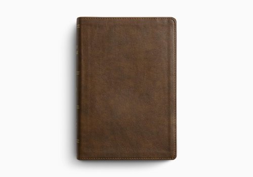 ESV Holy Bible: Dyslexia-Friendly Edition