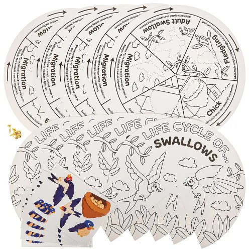 Swallow Bird Life Cycle Colour-In Sticker Wheels (Pack of 5)