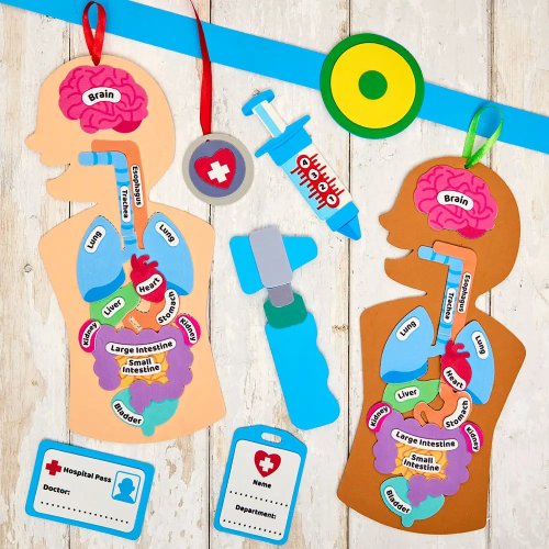 Human Body Kits (Pack of 4)