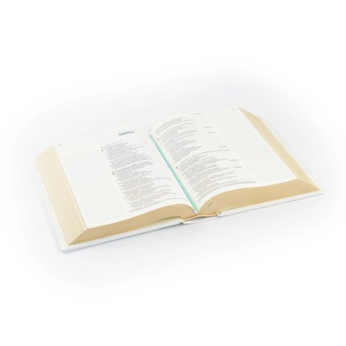 NTV Spanish Notetaking Bible: Lisbon Theme