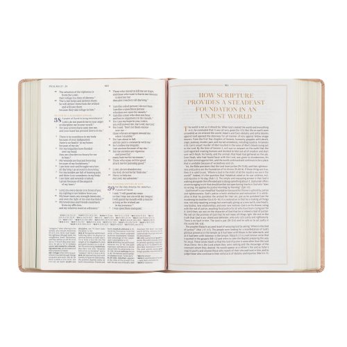 CSB Women's Study Bible: Sonora Theme