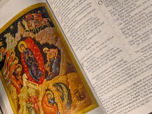 The Orthodox Study Bible, Brown Leathersoft
