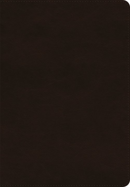 ESV Giant Print Bible (TruTone, Deep Brown)