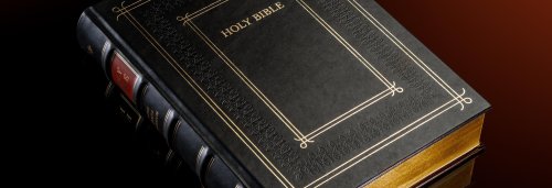 Cambridge KJV Family Chronicle Bible, Brown Calfskin Leather over Boards, Limited Numbered Edition