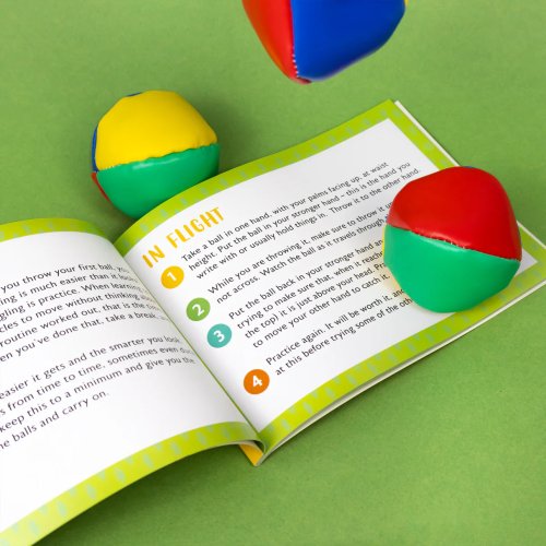 Learn To Play Jungle Animals Juggling