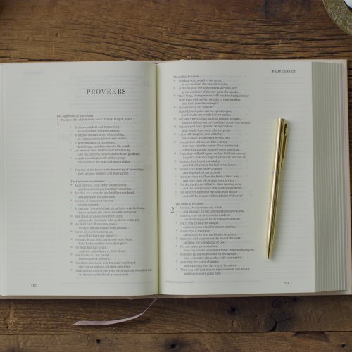 ESV Single Column Journaling Bible (Cloth over Board, Rosehip Design)