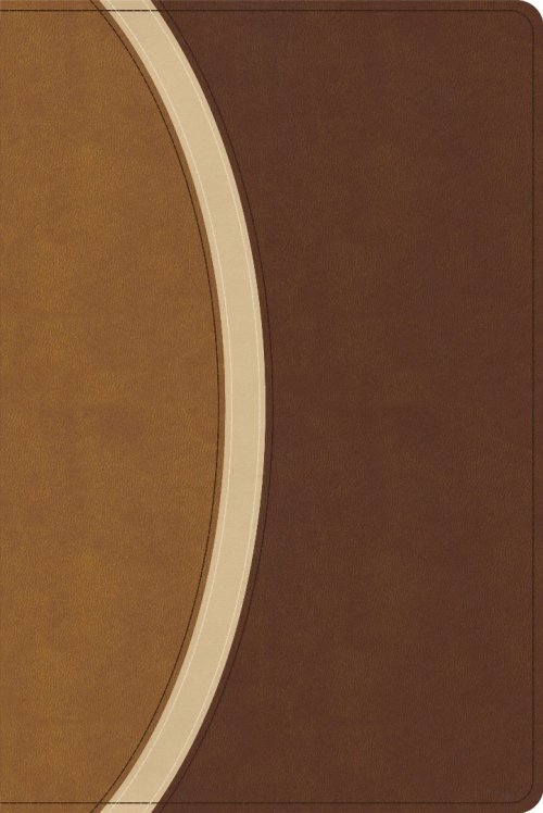 CSB Rainbow Study Bible, Brown Leathertouch