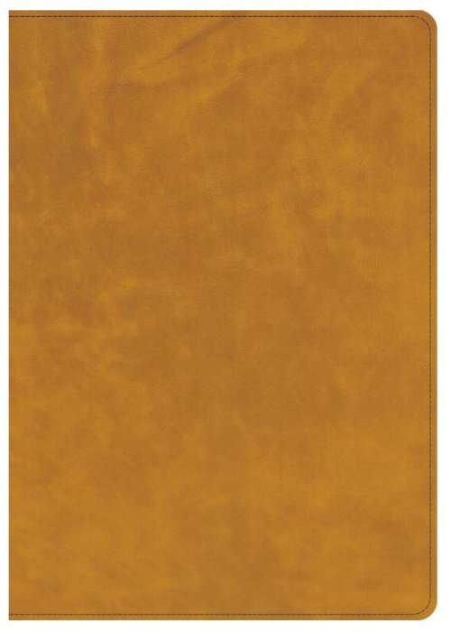 CSB Lumen Dei Bible, Lux Gloriae: Single-Column Wide-Margin