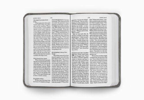 ESV Vest Pocket New Testament with Psalms and Proverbs, Red Letter (TruTone, Silver, Sword Design)