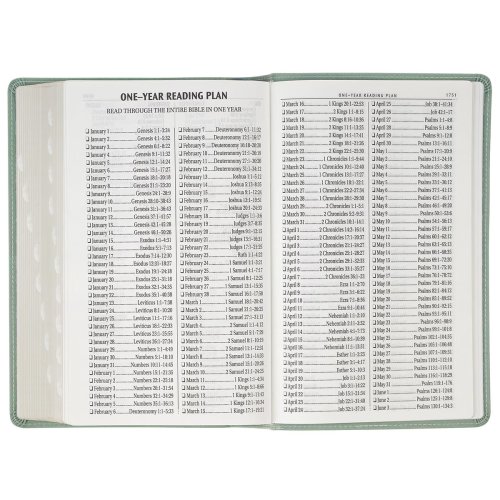 Teal Floral Faux Leather Giant Print Standard-size King James Version Bible with Thumb Index