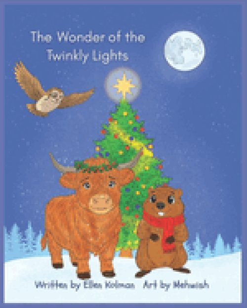 The Wonder of the Twinkly Lights