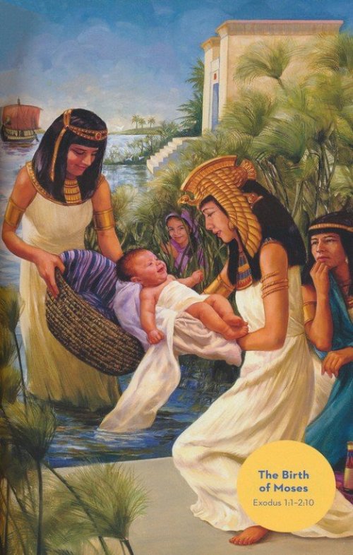 ESV Holy Bible for Kids, Economy (Paperback)