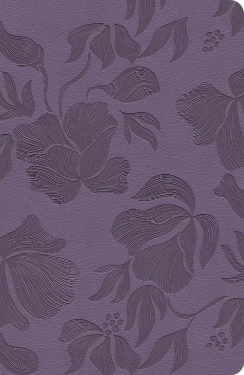 CSB Large Print Personal Size Reference Bible, Purple