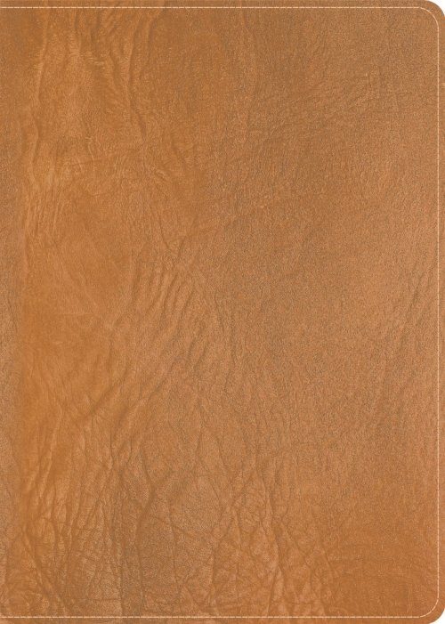 CSB He Reads Truth Bible, Holman Handcrafted Collection