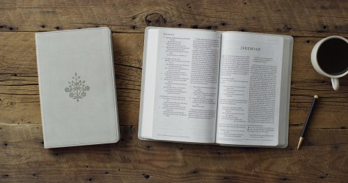 ESV Large Print Value Thinline Bible (TruTone, River Stone, Branch Design)