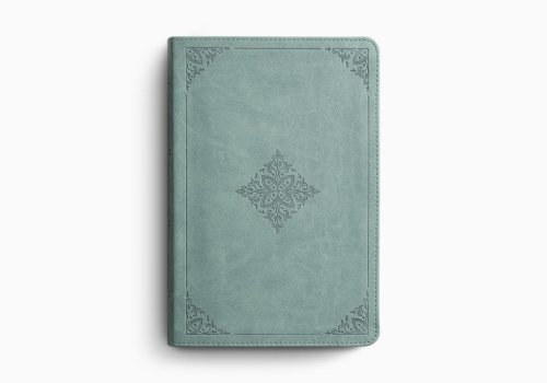 ESV Single Column Heritage Bible (TruTone, Paris Sky, Fleur-de-lis Design)