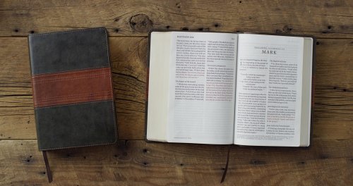 ESV Giant Print Personal Size Bible, Red Letter (TruTone, Forest/Tan, Trail Design)