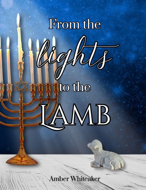 From the lights to the Lamb