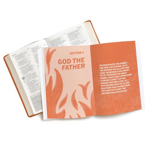 I AM who I AM: Teen Devotional