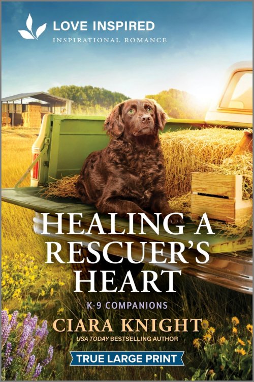 Healing a Rescuer's Heart: An Uplifting Inspirational Romance