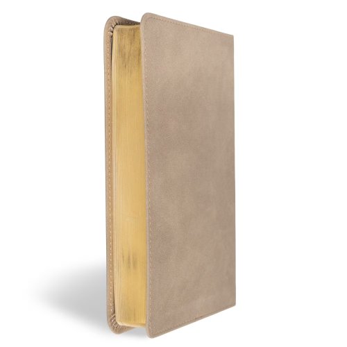 CSB Personal Size Bible, Digital Study Edition, Earth