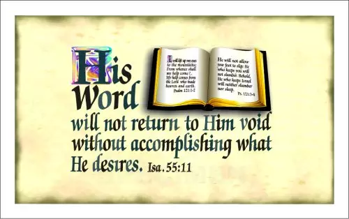 Text Card - His Word will not ... Pack of 20 Same Design