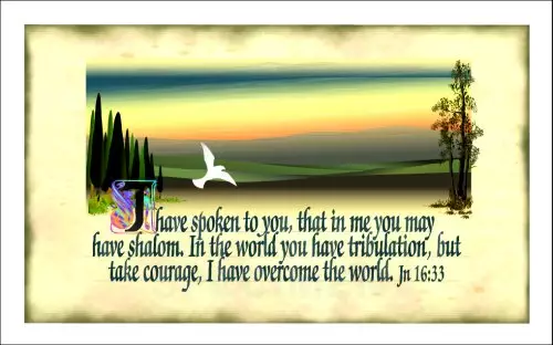 Text Card - I have spoken to you Pack of 20 Same Design