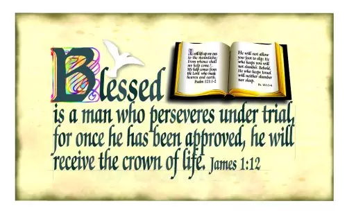 Blessed is a man.. James 1:2 - Pack of 20 Same Design