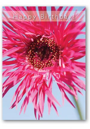 Happy Birthday Cards - Pack of 4