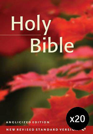 NRSV Popular Text Anglicised Bible: Hardback Pack of 20