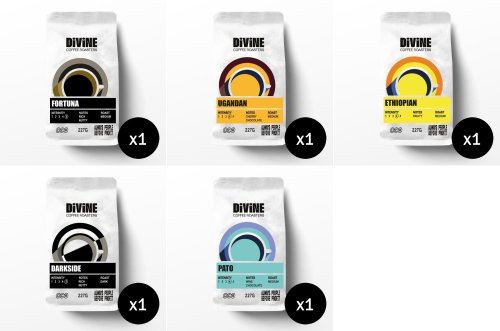 Divine Coffee Bundle (Medium/Dark Roast) BEANS